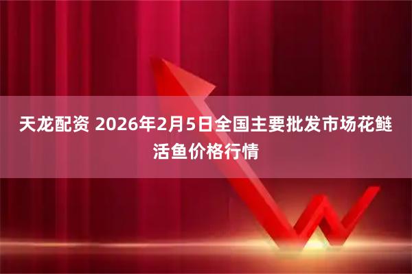 天龙配资 2026年2月5日全国主要批发市场花鲢活鱼价格行情