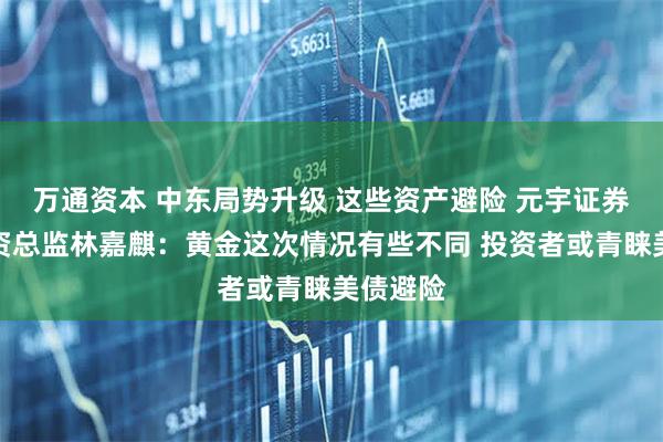 万通资本 中东局势升级 这些资产避险 元宇证券基金投资总监林嘉麒：黄金这次情况有些不同 投资者或青睐美债避险