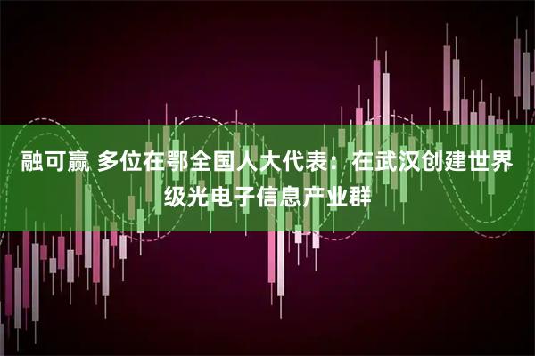 融可赢 多位在鄂全国人大代表：在武汉创建世界级光电子信息产业群