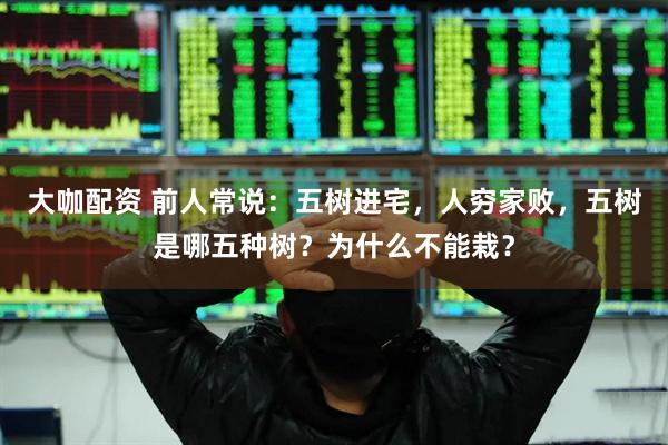 大咖配资 前人常说：五树进宅，人穷家败，五树是哪五种树？为什么不能栽？