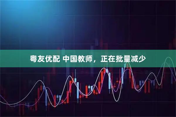 粤友优配 中国教师，正在批量减少
