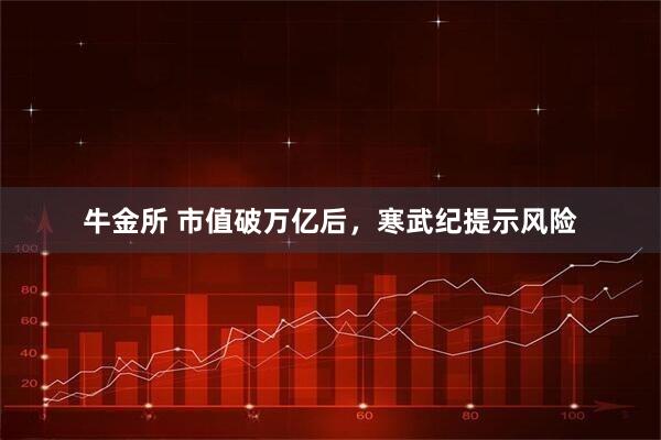 牛金所 市值破万亿后，寒武纪提示风险