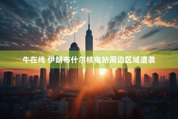 牛在线 伊朗布什尔核电站周边区域遭袭